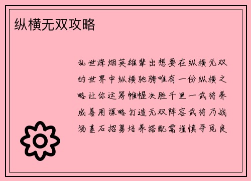 纵横无双攻略