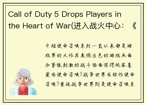 Call of Duty 5 Drops Players in the Heart of War(进入战火中心：《使命召唤5》玩家的热血之地)